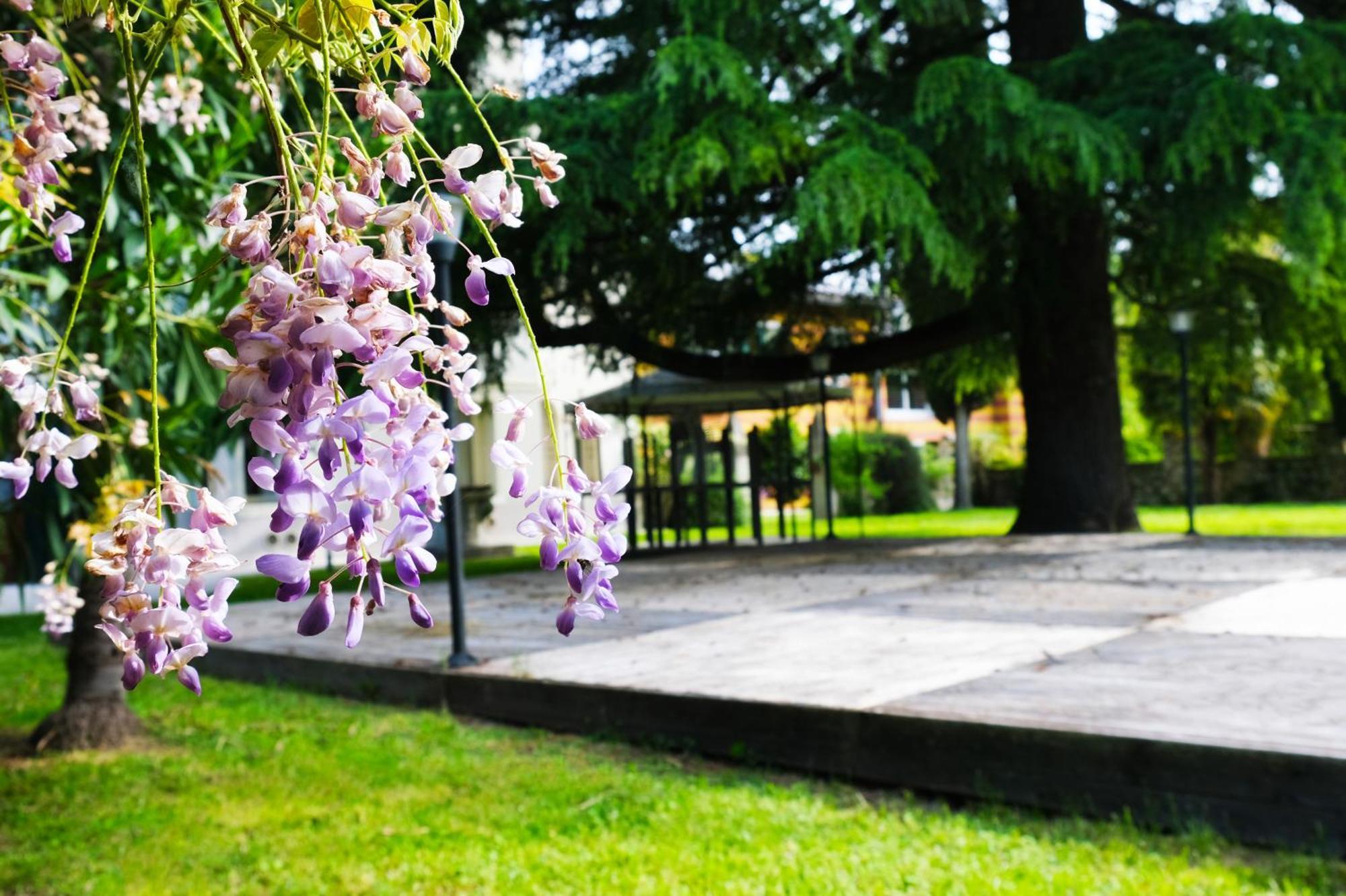 Hotel Villa Ca Damiani Caneva Екстер'єр фото