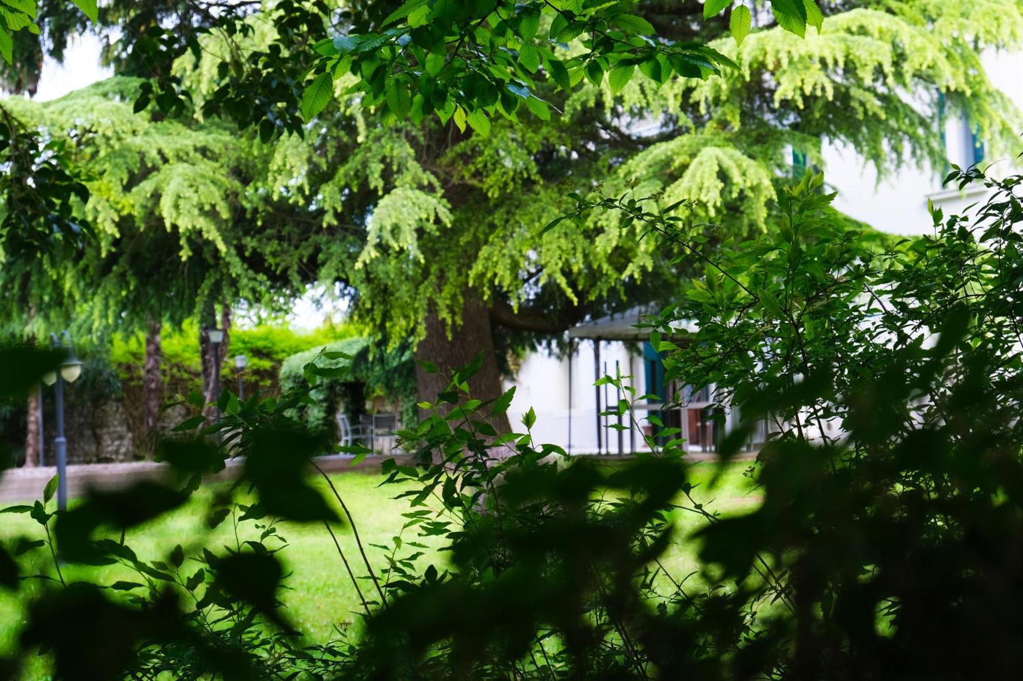 Hotel Villa Ca Damiani Caneva Екстер'єр фото